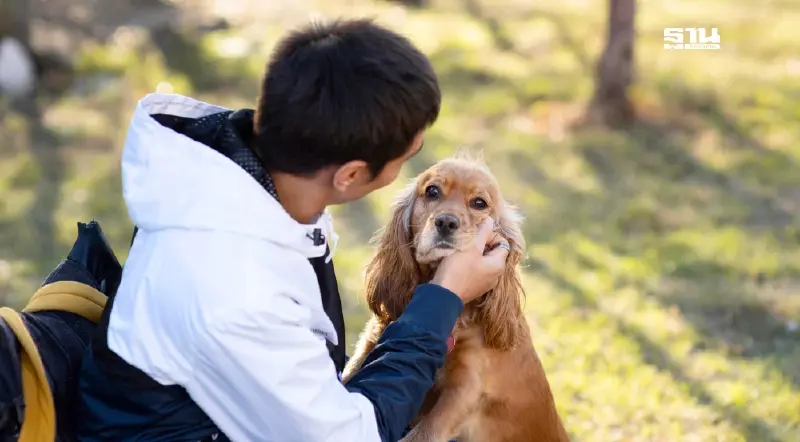 Pet Humanization ดันตลาดสัตว์เลี้ยงพุ่ง 9.2 หมื่นล้าน ทาสหมา-แมว ควักเงินจ่ายค่าดูแล 5 หมื่นบาท/ตัว/ปี