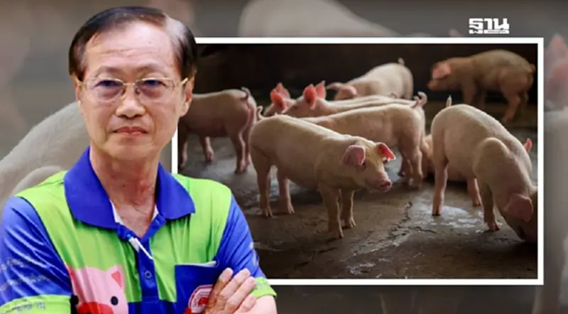 ผู้เลี้ยงหมูอีสานวอนรัฐ “ถอดหมู” ออกจากบัญชีสินค้านำเข้าสหรัฐ ผวาพังทั้งประเทศ ผู้เลี้ยงหมูอีสานวอนรัฐ “ถอดหมู” ออกจากบัญชีสินค้านำเข้าสหรัฐ ผวาพังทั้งประเทศ