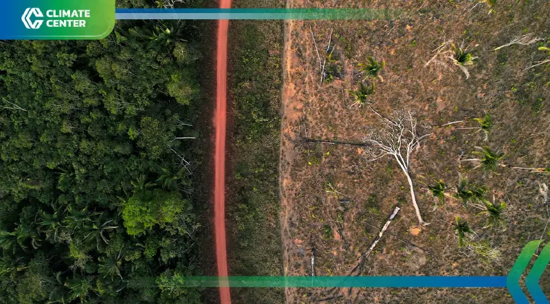 กฎหมายใหม่บราซิลจ่อเปิดช่องเหมือง–เขื่อน เสี่ยงซ้ำเติมแอมะซอน กฎหมายใหม่บราซิลจ่อเปิดช่องเหมือง–เขื่อน เสี่ยงซ้ำเติมแอมะซอน