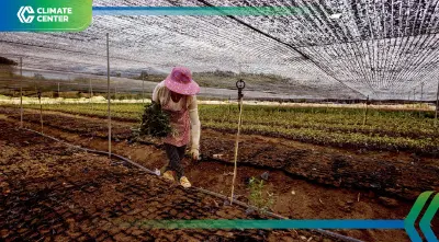 จีนเปลี่ยนเกมอาหาร ปรับเมนู–ลดขยะ–เลิกพึ่งเนื้อสัตว์รับมือโลกรวน