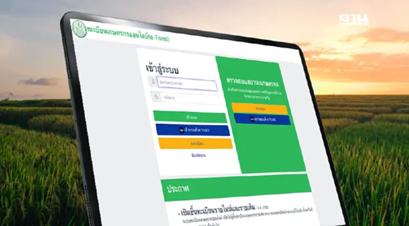 Https://efarmer. DOAE go th เว็บตรวจสอบสถานะเกษตรกร เงินไร่ละ 1000 Https://efarmer. DOAE go th เว็บตรวจสอบสถานะเกษตรกร เงินไร่ละ 1000