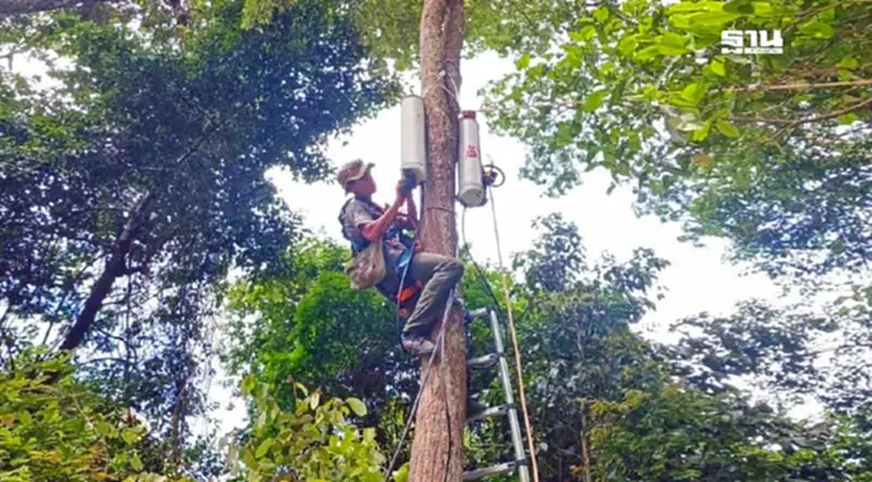 ทรู ตรวจสอบสัญญาณ หลังติดตั้ง Small Cell รับสถานการณ์ชายแดนไทย ทรู ตรวจสอบสัญญาณ หลังติดตั้ง Small Cell รับสถานการณ์ชายแดนไทย
