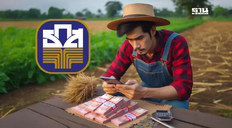 เงินไร่ละ 1000 68/69 นาปรัง อำเภอคลองขลุง ตัดข้อมูลส่งให้ ธ.ก.ส. ดูเลย