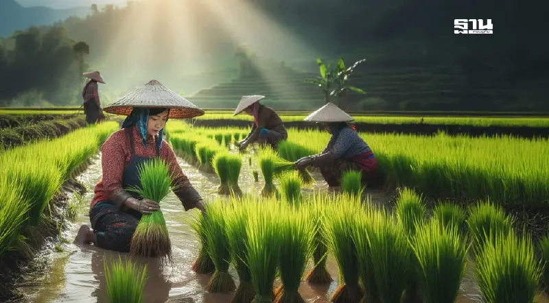 ธ.ก.ส.พร้อมโอนเงินไร่ละ 1,000 รอบแรก 1 ก.ย.นี้ เข้าบัญชีเกษตรกร