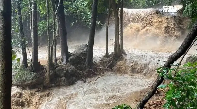กรมอุตุฯ เตือน 12 ส.ค. ฝนถล่มหลายพื้นที่ เสี่ยงน้ำท่วม–น้ำป่า คลื่นลมแรงสูง 2เมตร