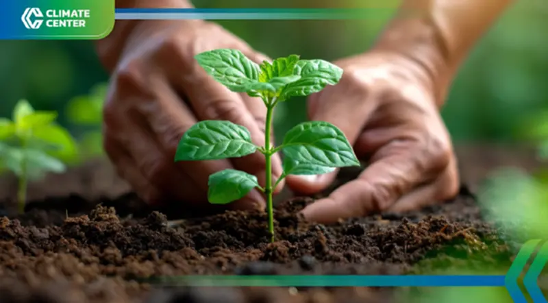 รัฐ-เอกชนตื่นตัว สร้างภาพลักษณ์องค์กรสู่ Net Zero 11 ปี ลด CO2 ทะลุ 8 ล้านตัน รัฐ-เอกชนตื่นตัว สร้างภาพลักษณ์องค์กรสู่ Net Zero 11 ปี ลด CO2 ทะลุ 8 ล้านตัน