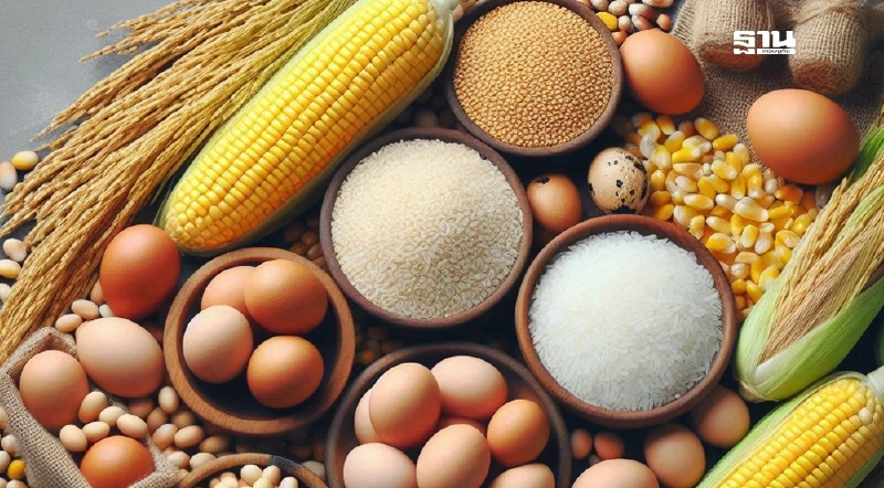 "ข้าวโพด–กากถั่วเหลือง"ร่วงแรง รับผลผลิต-ซัพพลายโลกเพิ่ม สินค้าเกษตรส่วนใหญ่ทรงตัว