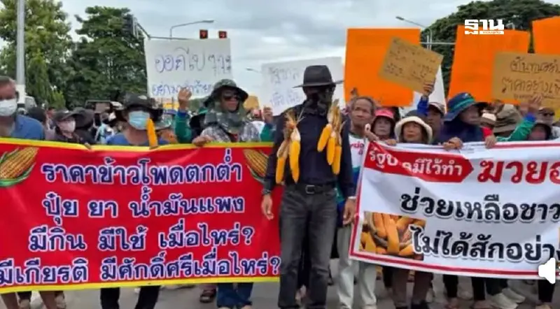 เริ่มแล้ว! ชาวไร่ข้าวโพดเพชรบูรณ์ปิดถนน ยื่น 3 ข้อ เยียวยาภาษีทรัมป์ เริ่มแล้ว! ชาวไร่ข้าวโพดเพชรบูรณ์ปิดถนน ยื่น 3 ข้อ เยียวยาภาษีทรัมป์