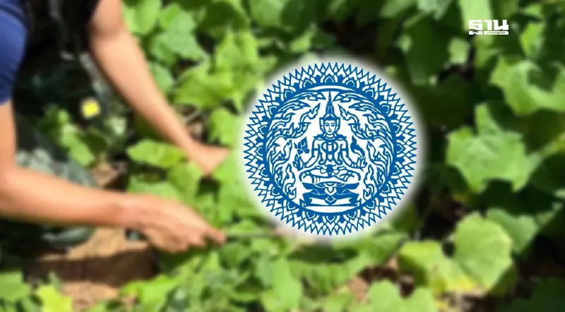 กต. ประณามกัมพูชา ทหารไทยเหยียบทุ่นระเบิดครั้งที่ 3 ในรอบเดือน