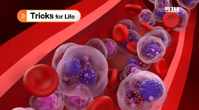 ปลูกถ่ายไขกระดูก ล้างระบบ รักษา มะเร็งเลือด