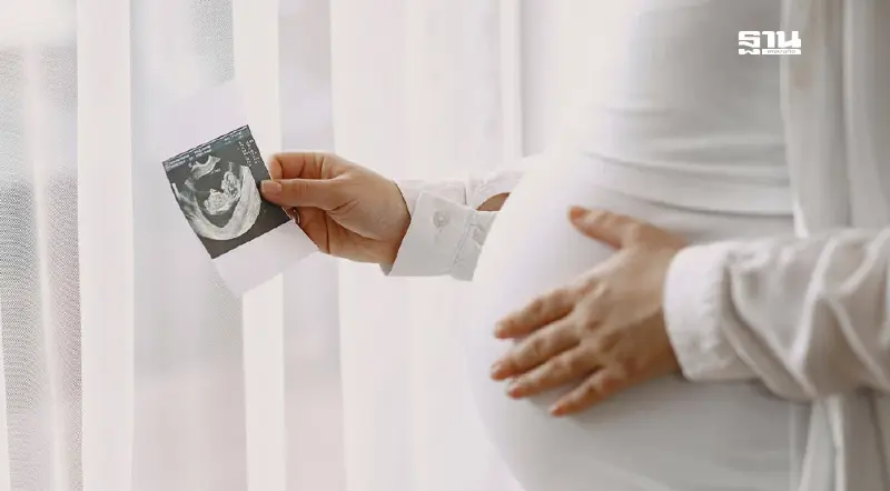 สาธารณสุข เตรียมชง ครม. พิจารณา 'คดีอุ้มบุญ' เป็นคดีพิเศษ สาธารณสุข เตรียมชง ครม. พิจารณา 'คดีอุ้มบุญ' เป็นคดีพิเศษ