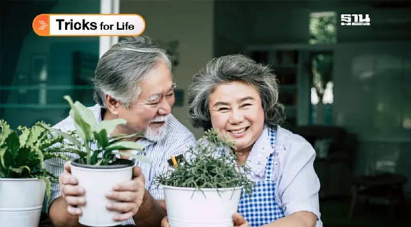 Longevity เทรนด์ใหม่ดูแลสุขภาพ Longevity เทรนด์ใหม่ดูแลสุขภาพ