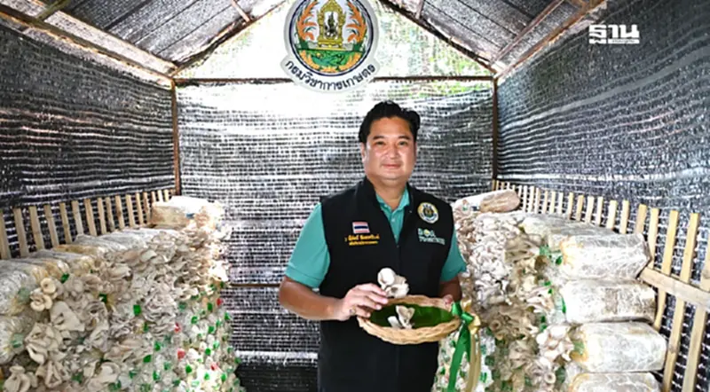 อธิบดีกรมวิชาการเกษตร ลุยฟื้นฟูเยียวยาเกษตรกรหลังน้ำท่วม มีรายได้เร็วสุด อธิบดีกรมวิชาการเกษตร ลุยฟื้นฟูเยียวยาเกษตรกรหลังน้ำท่วม มีรายได้เร็วสุด
