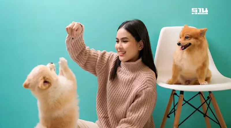 เทรนด์ Pet Humanization มาแรง ดัน รพ.สัตว์ทองหล่อบุก จ.ปทุมธานี