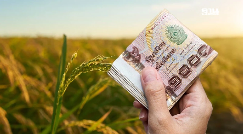 chongkho.inbaac.com เช็คเงินไร่ละ 1,000 68/69 ด้วยเลขบัตรประชาชน chongkho.inbaac.com เช็คเงินไร่ละ 1,000 68/69 ด้วยเลขบัตรประชาชน