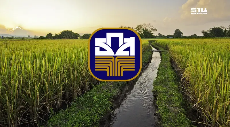 แจกเงินไร่ละ 1,000 นาปี-นาปรัง ‘ธ.ก.ส.’ พร้อมโอนใน 3 วัน