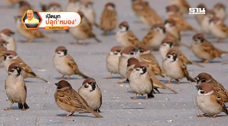 โลกนี้ไม่มีอะไรกระจอก ฉากที่ 10