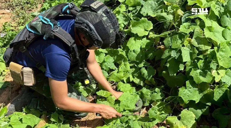 กองทัพบก ชี้ กับระเบิดกัมพูชา สงครามซ่อนรูป ย้อนแย้งมาตรการหยุดยิง กองทัพบก ชี้ กับระเบิดกัมพูชา สงครามซ่อนรูป ย้อนแย้งมาตรการหยุดยิง