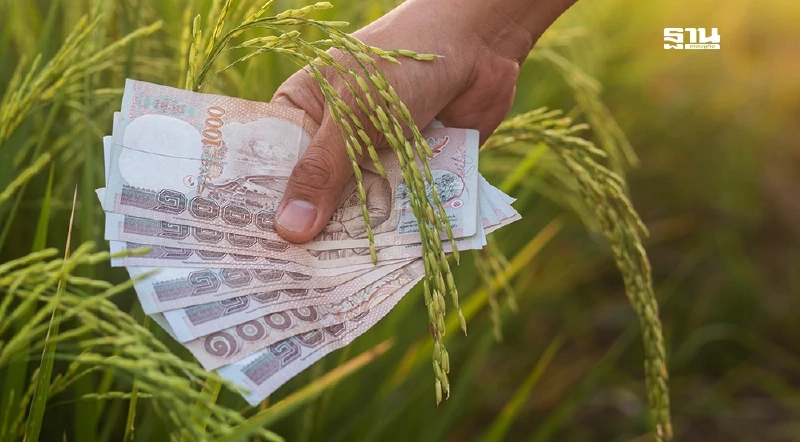 บอร์ด นบข. เคาะแจกไร่ละ 1,000 ข้าวนาปี-นาปรัง จ่ายช้าสุดก.ย.นี้ บอร์ด นบข. เคาะแจกไร่ละ 1,000 ข้าวนาปี-นาปรัง จ่ายช้าสุดก.ย.นี้