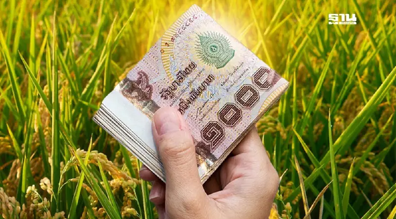 ไร่ละ 1000 ปี 68/69 ล่าสุด   กรมส่งเสริมการเกษตร อัปเดตการส่งข้อมูล