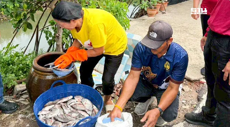 ตำรวจสมุทรสงครามฝึกทักษะหมัก"น้ำปลาหมอคางดำ"ช่วยบำบัดคนเสพยา