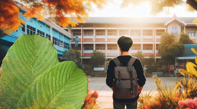 .สธ.-ยุติธรรม คุมเข้มห้ามขาย 'ใบกระท่อม' ใกล้สถานศึกษา ปรับสูงสุด 5 หมื่น.