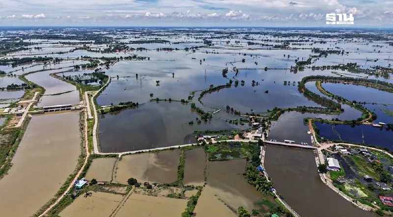 ทุ่งบางระกำ เก็บน้ำเกือบเต็ม หน่วงน้ำบรรเทาผลกระทบลุ่มเจ้าพระยาตอนล่าง ทุ่งบางระกำ เก็บน้ำเกือบเต็ม หน่วงน้ำบรรเทาผลกระทบลุ่มเจ้าพระยาตอนล่าง