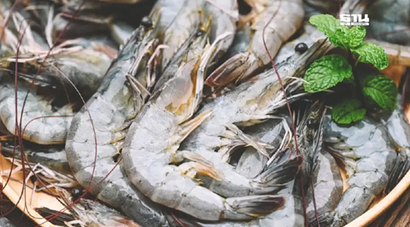 กุ้งไทยเฮ ‘อินเดีย’ ถูกสหรัฐโขกภาษี 50% ลุ้นเสียบตลาด ดันส่งออกเพิ่ม 6.6 พันล้าน กุ้งไทยเฮ ‘อินเดีย’ ถูกสหรัฐโขกภาษี 50% ลุ้นเสียบตลาด ดันส่งออกเพิ่ม 6.6 พันล้าน
