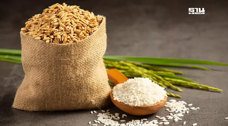 แผนจ่ายเงิน ธ.ก.ส.สาขาปะคำ ข้าวนาปีไร่ละ 1000 ไม่เกิน 10 ไร่ ดูที่นี่