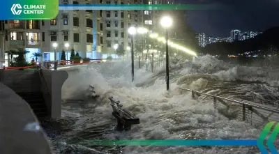 ซูเปอร์ไต้ฝุ่น “รากาซา” ถล่มฮ่องกง ลมแรง-ฝนหนัก ยกเลิกกว่า 700 เที่ยวบิน