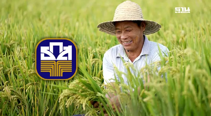 ธ.ก.ส.ลุยจ่ายเงินช่วยเหลือชาวนา กว่า 3.5 ล้านราย  วงเงินกว่า 2.9 หมื่นล้าน อีสานนำโด่ง