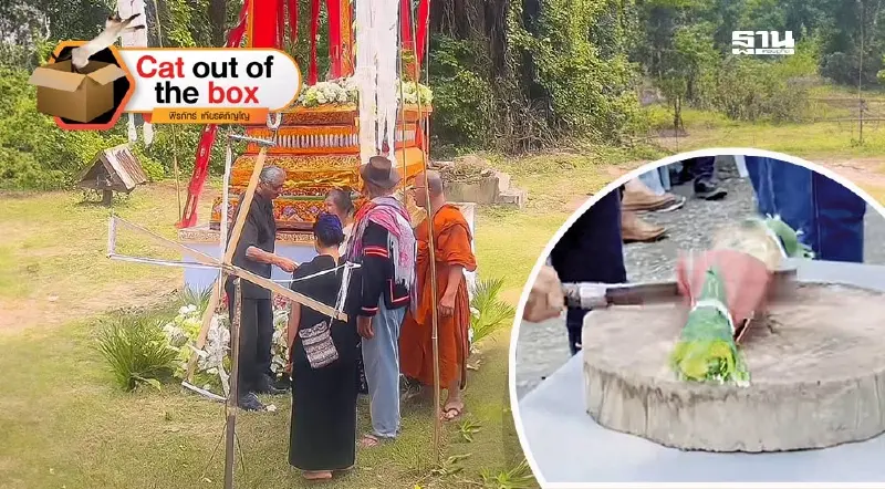 ผ่าจ้านช้าง ผ่าจ้านผี ผ่าจ้านช้าง ผ่าจ้านผี