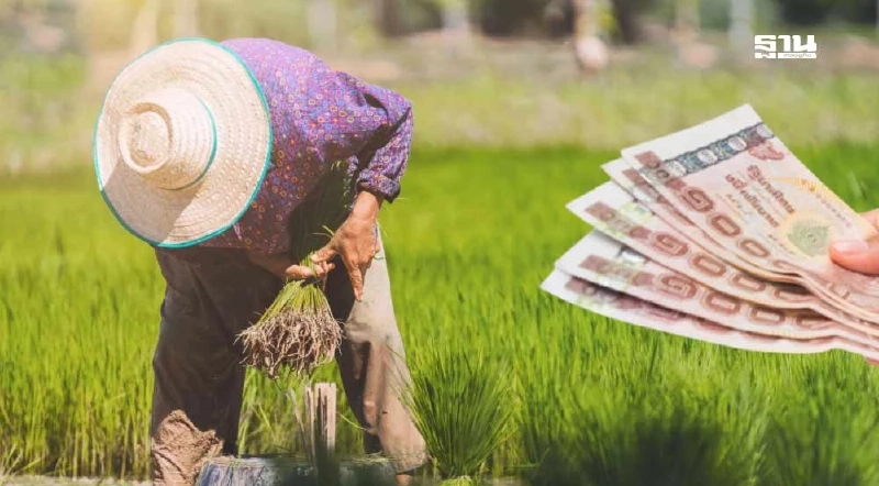 เช็คเงินเกษตรกร 2568 ‘ไร่ละ 1000’ ด้วยเลขบัตรประชาชน ตรวจสอบด่วน เช็คเงินเกษตรกร 2568 ‘ไร่ละ 1000’ ด้วยเลขบัตรประชาชน ตรวจสอบด่วน