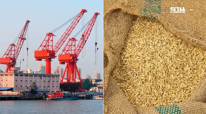 พาณิชย์ เร่งจีนเคลียร์ดีลข้าว G to G เล็งซื้อเพิ่ม 5 แสนตัน พาณิชย์ เร่งจีนเคลียร์ดีลข้าว G to G เล็งซื้อเพิ่ม 5 แสนตัน