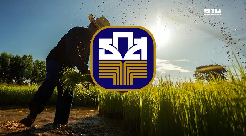 ธ.ก.ส.แจงละเอียด โอนเงินไร่ละ 1000 ‘ข้าวนาปี-นาปรัง’ วันไหนบ้าง