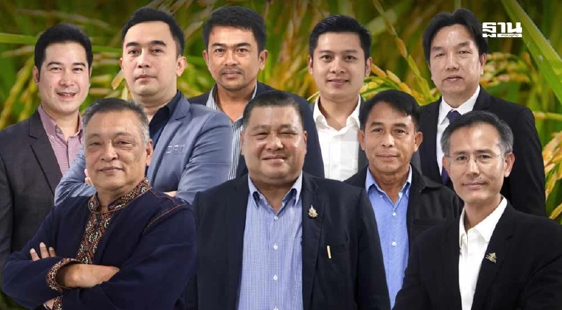 จับตา ‘กข113’ พันธุ์ข้าวป้ายแดง วงการข้าว ฮือฮา! ลุ้นยึดนาไทยแทนที่ข้าวหอมเวียดนาม จับตา ‘กข113’ พันธุ์ข้าวป้ายแดง วงการข้าว ฮือฮา! ลุ้นยึดนาไทยแทนที่ข้าวหอมเวียดนาม