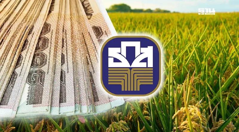 เช็คเงินไร่ละ 1000 68/69  ธ.ก.ส.โอนเงินช่วยเหลือแล้ว 2.48 ล้านครัวเรือน