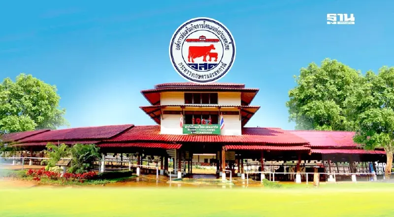 6 แคนดิเดต เดือด! ลุ้นใครนั่งเก้าอี้ ผอ. อ.ส.ค. รู้ผล 23 ก.ย.นี้ 6 แคนดิเดต เดือด! ลุ้นใครนั่งเก้าอี้ ผอ. อ.ส.ค. รู้ผล 23 ก.ย.นี้