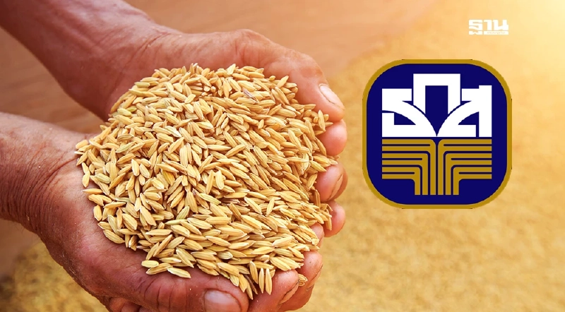 เช็กตารางแจกเงินไร่ละ 1000 ปี 68 /69 ธ.ก.ส. โอนเงินตรงเข้าบัญชีชาวนา เช็กตารางแจกเงินไร่ละ 1000 ปี 68 /69 ธ.ก.ส. โอนเงินตรงเข้าบัญชีชาวนา