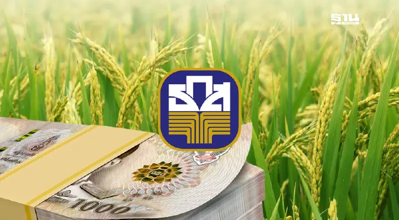 เงินไร่ละ 1000 กระทรวงเกษตรฯ ส่งรายชื่อเพื่อให้ ธ.ก.ส. 15 ก.ย.นี้