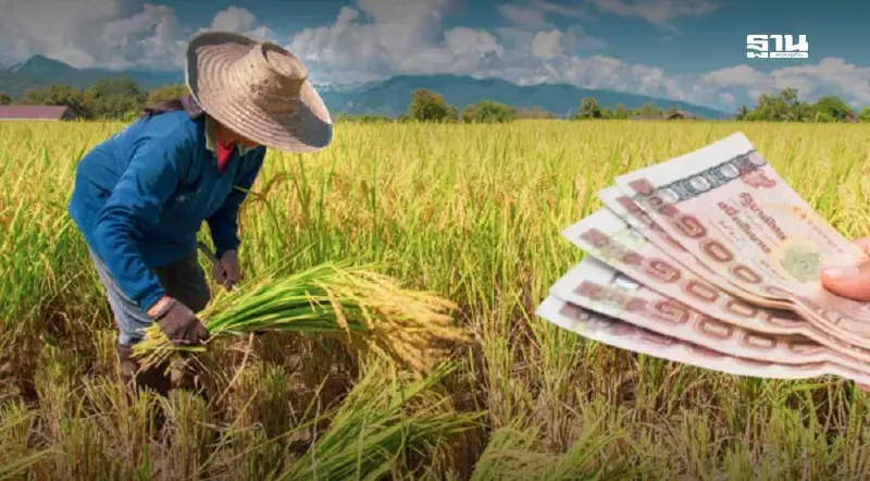 เงินไร่ละ 1000 2568/69  บางบัญชีโอนไม่เข้าต้องแก้ไขอย่างไร