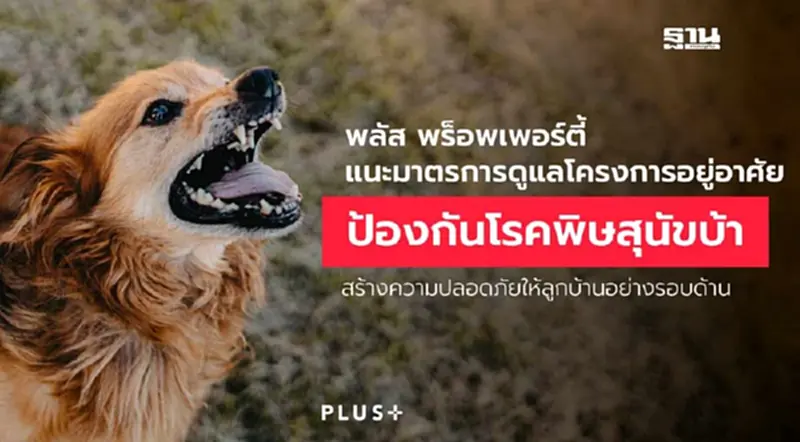โครงการอยู่อาศัยปลอดภัย พลัสฯ แนะวิธีป้องกันลูกบ้านจากพิษสุนัขบ้า โครงการอยู่อาศัยปลอดภัย พลัสฯ แนะวิธีป้องกันลูกบ้านจากพิษสุนัขบ้า