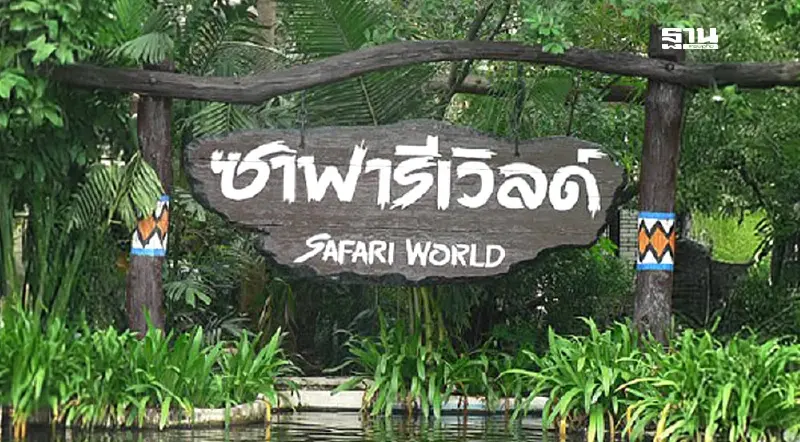 ซาฟารีเวิลด์ เปิดให้บริการตามปกติ ปิดเฉพาะโซนสัตว์ดุร้าย