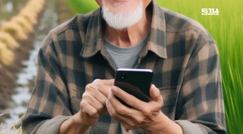 โอนเงินไร่ละ 1000 ภาคอีสาน เช็กเงินเกษตรกร 2568 ด้วยเลขบัตรประชาชน