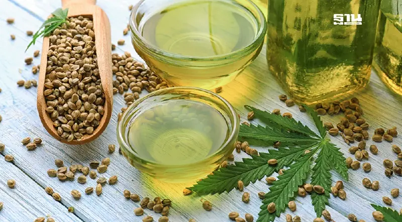 63 ตัวแทนเครือข่ายแพทย์ นักวิชาการฯ ร่วมลงชื่อส่งจม.เปิดผนึกจี้ สธ. ปิดช่องโหว่กัญชา 63 ตัวแทนเครือข่ายแพทย์ นักวิชาการฯ ร่วมลงชื่อส่งจม.เปิดผนึกจี้ สธ. ปิดช่องโหว่กัญชา