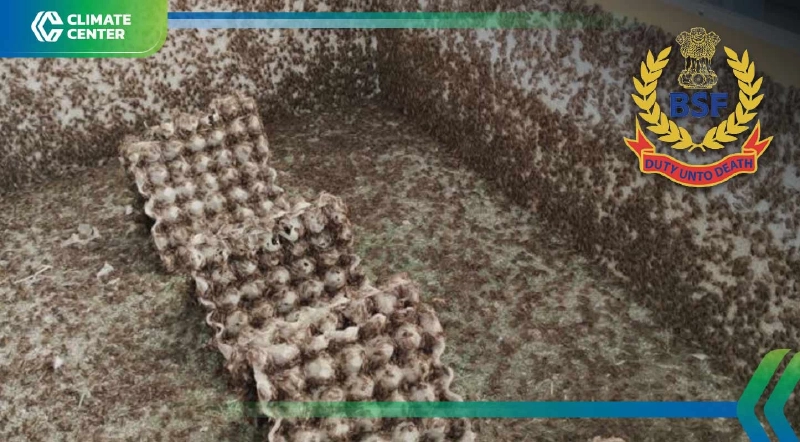 ขยะสู่กำไร ฟาร์มจิ้งหรีดใช้ BSF ลดต้นทุน 50% สร้างมูลค่าจากเศษอาหารแม็คโคร-โลตัส ขยะสู่กำไร ฟาร์มจิ้งหรีดใช้ BSF ลดต้นทุน 50% สร้างมูลค่าจากเศษอาหารแม็คโคร-โลตัส