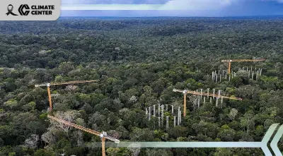 บราซิลลดตัดไม้ป่าแอมะซอนต่ำสุดในรอบ 11 ปี 'ลูลา' ปูทางโชว์ผลงานก่อน COP30