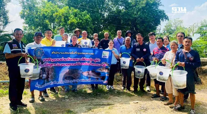 กรมประมงเดินหน้าปล่อย “ปลานักล่า” คุมเข้ม “ปลาหมอคางดำ”