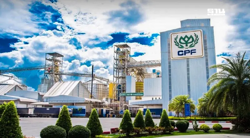 ซีพีเอฟ ซื้อหุ้นคืน 8 พันล้านบาท เพิ่มผลตอบแทนให้ผู้ถือหุ้น ซีพีเอฟ ซื้อหุ้นคืน 8 พันล้านบาท เพิ่มผลตอบแทนให้ผู้ถือหุ้น