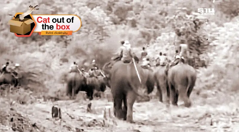 วิธีจับช้าง